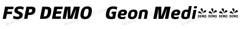 FSP DEMO   Geon Medi字体转换